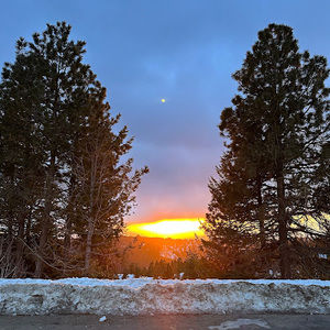 Meet your Posher, Nolan